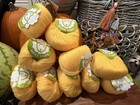 Yellow Wool Yarn Skein Lot Cashmere Plain Worsted 4 Crochet Knit 500g