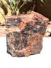 Raw Arizona Petrified Wood  Rainbow  Wood Fossil  Agatized Wood 12 Lbs