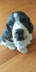 Vintage Heavy Liver   White Springer Spaniel Figure 8  X 6  Sale  