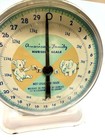 Vintage American Family Baby Nursery Scale   Works 30 Lbs Tested  