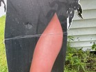 Elvira Mistress Of The Dark Coors Light  Stand Up Standee