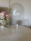 Glass Cloche Dome Display Case  No Base 12    X 6 1 2   
