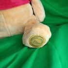 Disney Store Exclusive Authentic Original Winnie The Pooh 15    Plush Stuffed