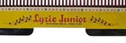 Vintage Lyric Junior 45rpm Record Holder Metal Replogle Globes Chicago Il