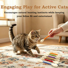 Cotton Swabs Cat Toys With Catnip  Giant Cat Qtip Toy Chew Sticks