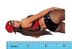 Wwe Nikki Bella Wrestling Water Resistant Sticker Wwf Wcw Aew Nxt