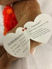 Ty Beanie Baby    plymouth The Thanksgiving Bear 8 5  New Mwmt