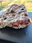 1lb Unidentified Specimen Rock Mineral Possible Petrified Wood 4x3in Estate Find
