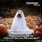 Flea   Tick Spot Treatment For Small Dogs  5-22 Lbs  12 Doses  12-mos  Supply 