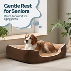 Orthopedic Dog Bed For Small Dogs 36   2-sided Cooling   Warming For All Seasons