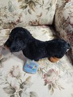 Webkinz Dachshund Plush Hm345 Sealed  Unused Code Black Dog Stuffed Animal