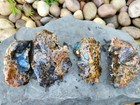 Rough Cheetah Agate   Jasper Stones  Lot Of 5 Pieces  Lapidary  3 Lbs 5 Oz