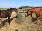 4-5mm Thick Round Bale Slow 7 2 Inch Feed Hay Net 4x5 New