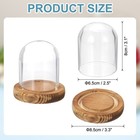 Glass Cloche Display Dome  3 1  X 2 5  Glass Dome Display Case  Wood