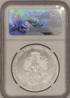 2017 American Silver Eagle  1 Ngc Ms-70 First Day Of Issue 