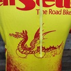 Size Large Chameleon Dragon Cycling Jersey Yellow   Red 1 2 Zip