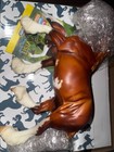 Breyer Collector Club 2022 Web Special Cardinal