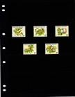  2 50 Scott Value - 1981 Norfolk Island Birds South Pacific Cv Mnh Nh Um
