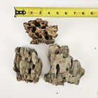 Dragon Ohko Rock 1 Lbs For Aquarium Decoration  Ponds   Aquascaping - Low