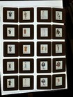 The Flintstones In Viva Rock Vegas Sketches Advertising  Press Kit Slides