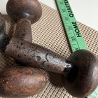 Vintage Antique Cast Iron Dumbbells 3lb Pair Rustic Industrial Fitness Decor