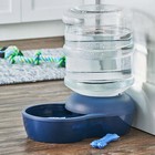 Vibrant Life Gravity Pet Waterer blue  Xl Extra Large For Dogs And Cats 4gallons