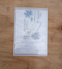 Stampin Up Avant-garden Clear Stamp Set Of 10
