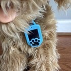 Skyrocket  Moji The Lovable Labradoodle  dog And Collar Only  Works