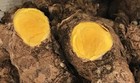 Premium Members Only  Pontsuku Ginger  50g X 3 Bags 