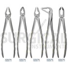 5 Pcs Dental Extracting Forceps F1  2 3 4 7 Diamond Dusted Gold Handle German Gr