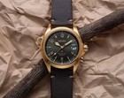 Seiko Prospex Alpinist 39 5 Mm Ss Gold Color Automatic Watch Spb210j1