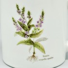 Vintage Botanical Tea Coffee Cup Mug Veronica Anagallis-aquatica White Japan
