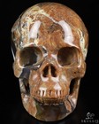 Huge 5 0  Dinosaur Egg Agate Carved Crystal Skull  Realistic  Crystal Healing