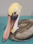 Hand Carved Brown Pelican By Nengah Sudarsana Wood Sculpture Decoy Signed