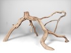 19  Manzanita Driftwood For Aquascaping  Aquarium Driftwood  Bonsai  Home D  cor