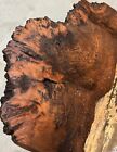 12121 Afzelia Xylay Burl wood Turning bowl craft jewelry Making penblank toolhnd