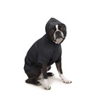 Zack And Zoey Basic Hoodie For Dogs 20in Large Jet Black