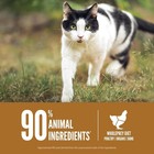 Orijen Original Grain-free Dry Cat Food  12-lb Bag Usa