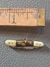 Super Tiny Micro 2 Bladed Vintage Folding Knife  W tortoise   Mop Or Celluloid 