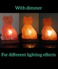 Xl Himalayan Salt Lamp Cat Carving Large Salt Light Natural Salt Stone 7lbs 