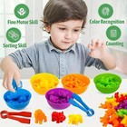Counting Animal Toys Matching Game Color Sorting Bowl Math Learning Kids Gift 