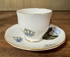 Vintage Souvenir Cup   Saucer  big Thompson Canyon  Salisbury Bone China England