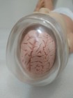 3b Scientific Shaken Baby Demonstration Mannequin