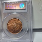 1945   2   Mils    Palestine  British Mandate       Pcgs        Ms 63 Rd     