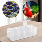 Aquaponic Fish Tank 4-grid Desktop Fish Tank Rectangle Acrylic Betta Fish Tank
