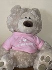 Gund Teddy Bear Wearing Pink Top 12   