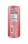 Slim Can Juice   Watermelon Juice   Not From Concentrate   10 8oz Cans  pack    