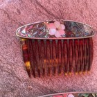 Vintage Abalone Mother Of Pearl Floral Inlay Hair Combs Set Of 2 France Tortoise
