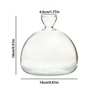 Glass Plant Vase Elegant Tree Growing Vase Seed Cultivation Container Gardening
