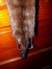 Beautiful Tanned Wild Mink Fur Pelt Skin Taxidermy 4 Feet Claws  Native Craft 3